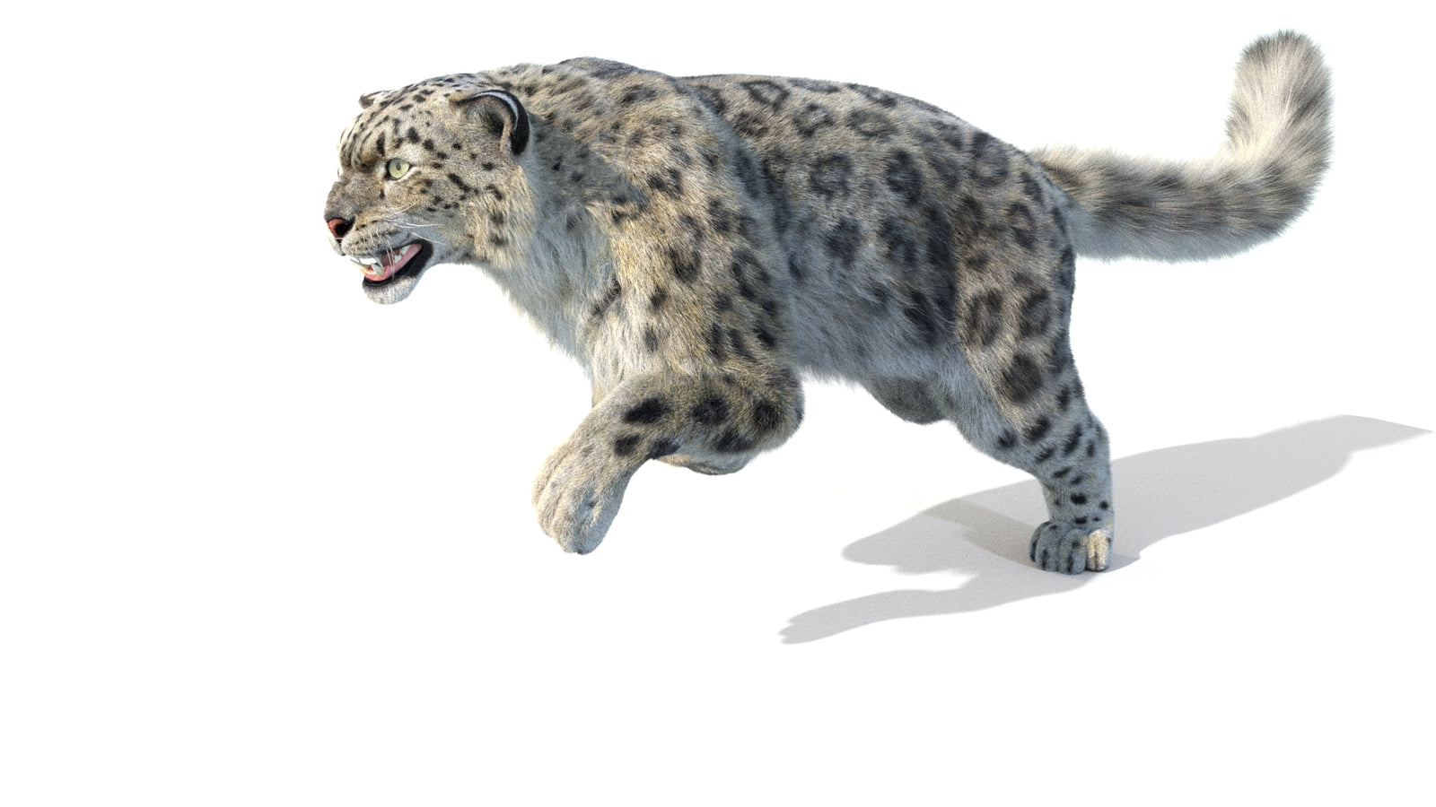 Animated Snow Leopard 3D Model Fur 360° view 5 frame 32