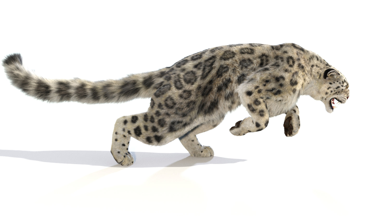 Animated Snow Leopard 3D Model Fur 360° view 6 frame 13