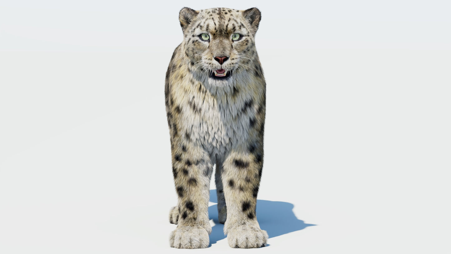 Realistic Snow Leopard 3D Model with Fur