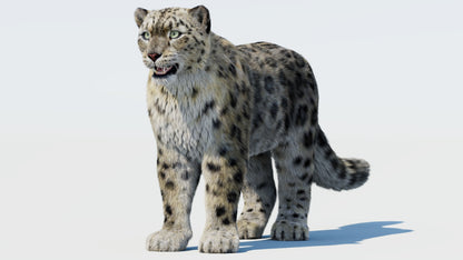 Realistic Snow Leopard 3D Model with Fur