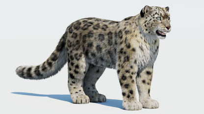Realistic Snow Leopard 3D Model with Fur