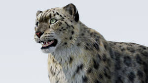 Realistic Snow Leopard 3D Model with Fur Close Up Thumbnail