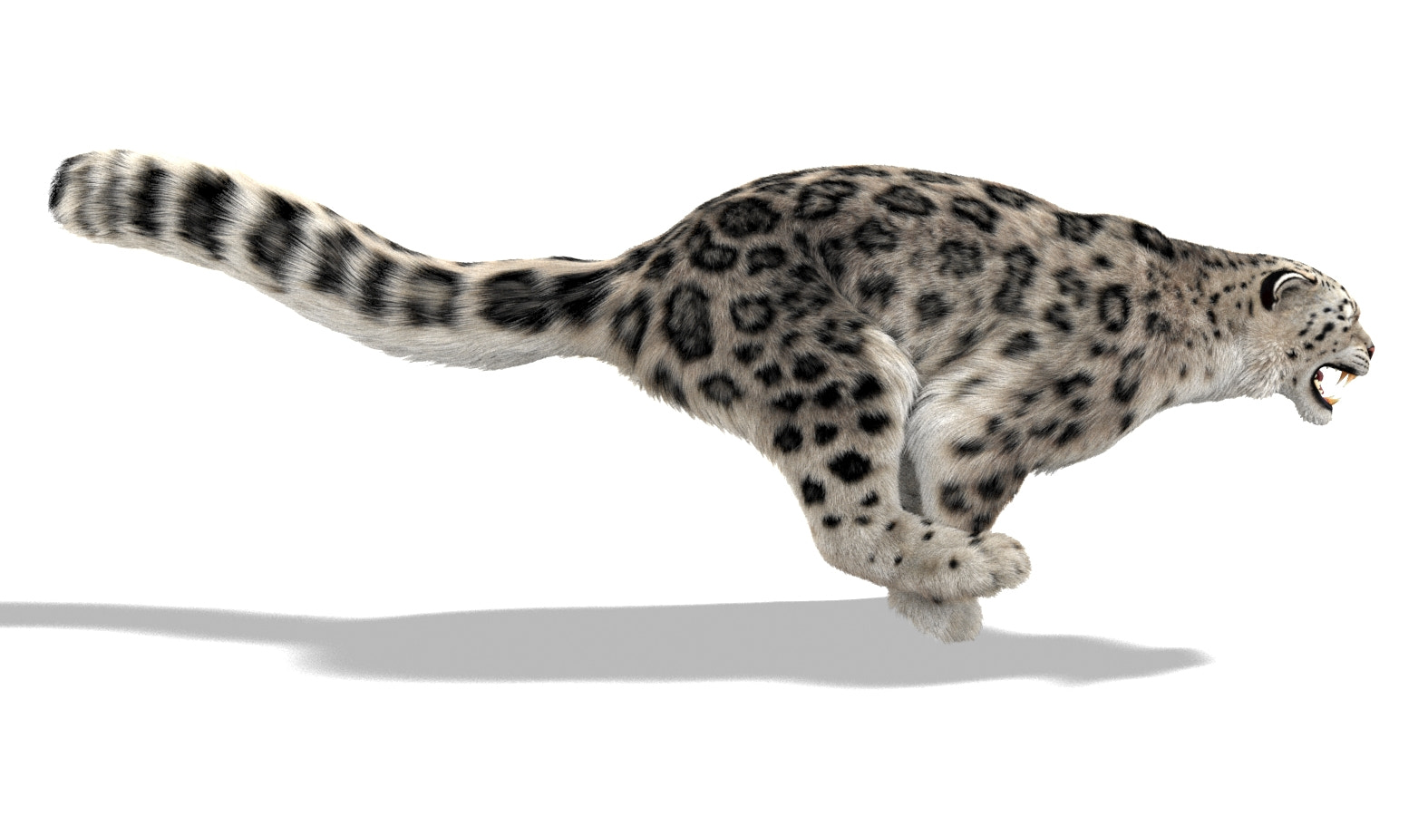 Animated Snow Leopard 3D Model with Ornatrix Fur - Running