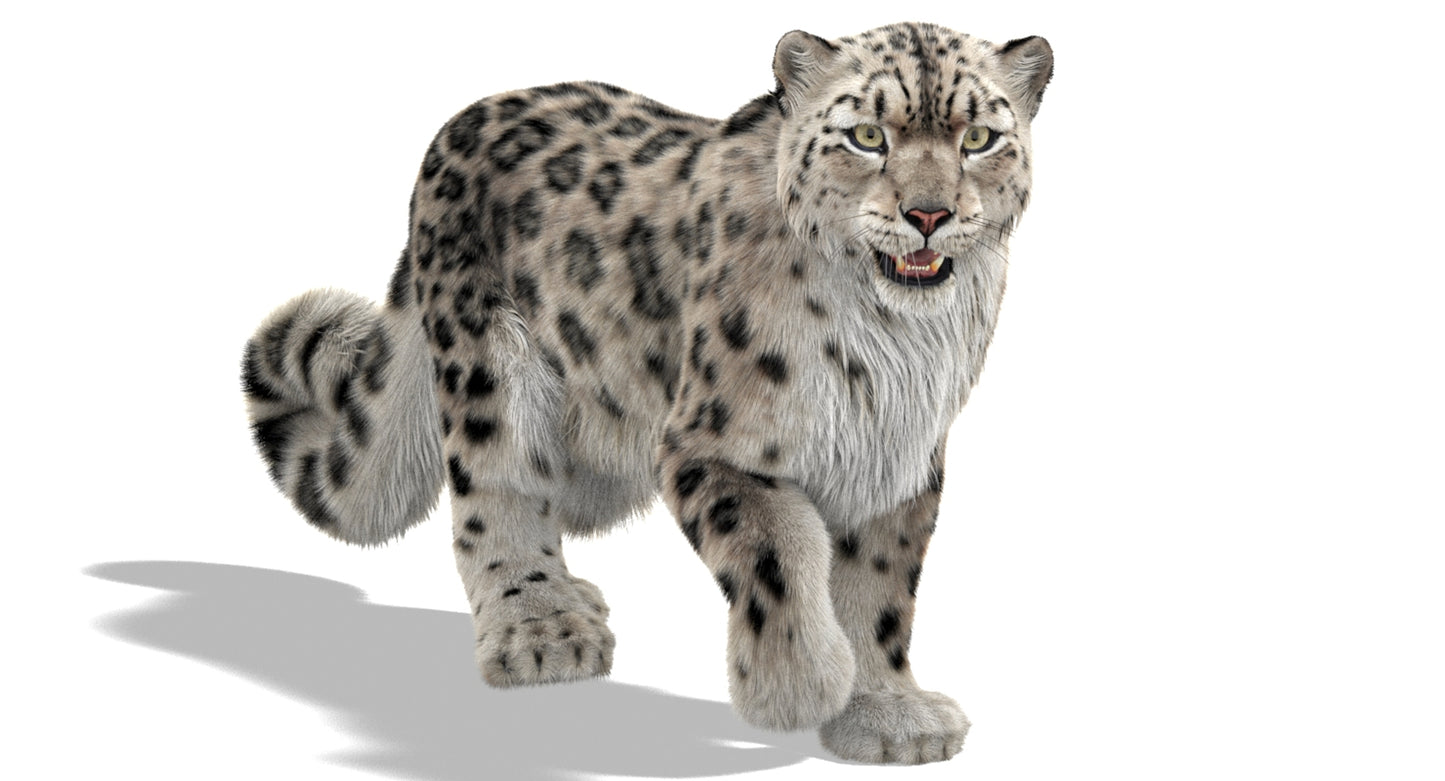 Snow Leopard 3d Model Animated Fur Ornatrix