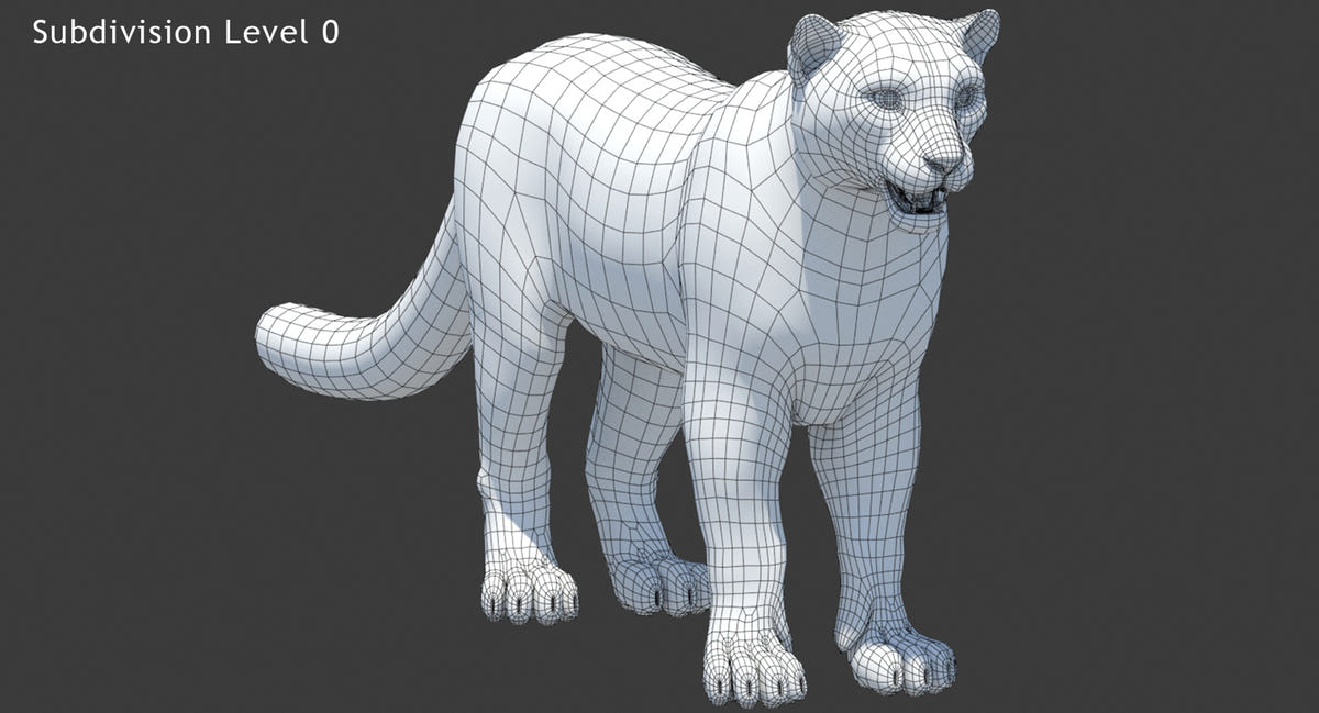 Rigged Snow Leopard 3D Model Wireframe View 0