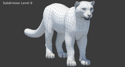 Rigged Snow Leopard 3D Model Wireframe View 0