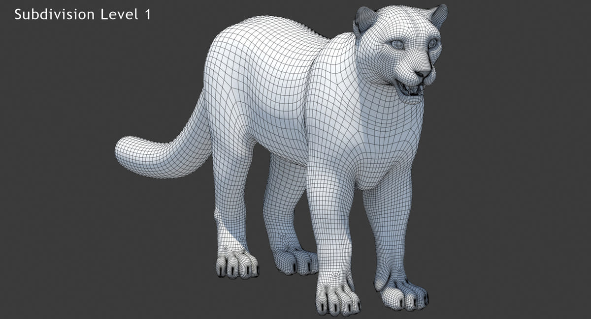 Rigged Snow Leopard 3D Model Wireframe View 1