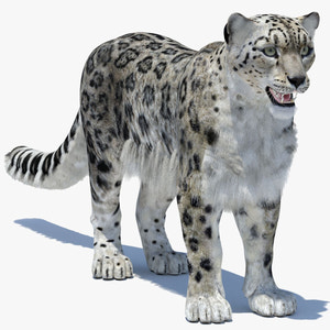 Snow Leopard 3D Model Polygonal Hairs Thumbnail