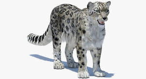Snow Leopard 3D Model Polygonal Hairs Thumbnail