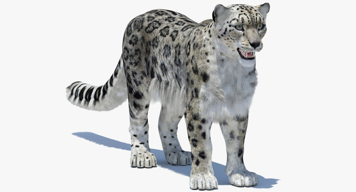 Snow Leopard 3D Model Polygonal Hairs