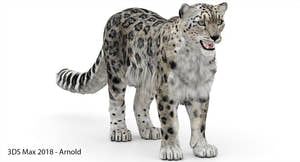 Snow Leopard 3D Model Polygonal Hairs Thumbnail