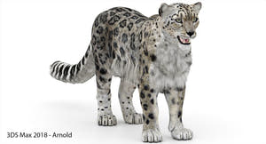 Snow Leopard 3D Model Polygonal Hairs Thumbnail