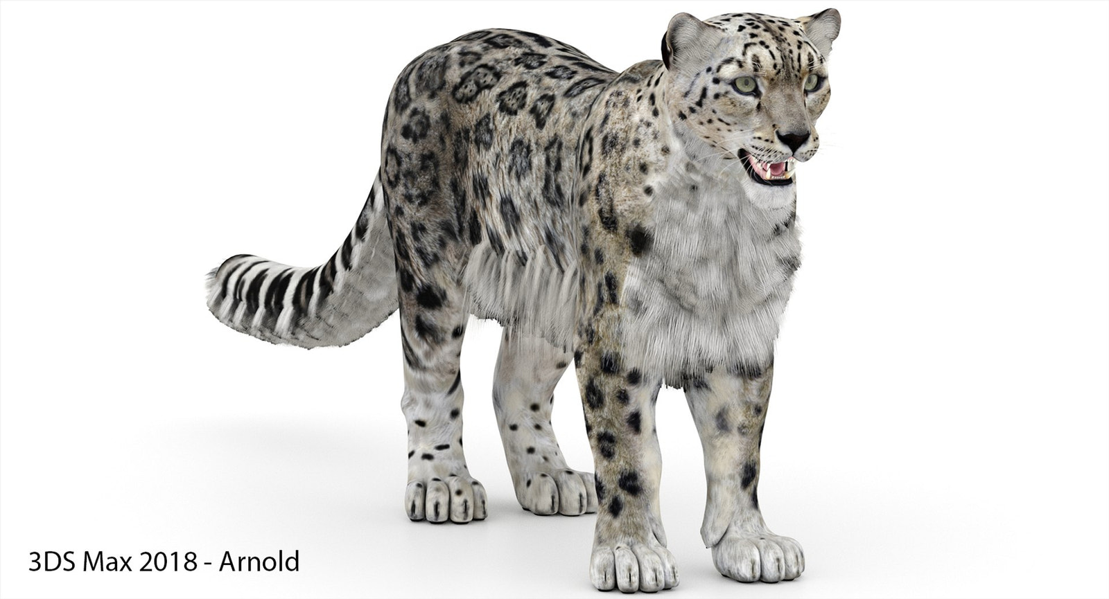 Snow Leopard 3D Model Polygonal Hairs