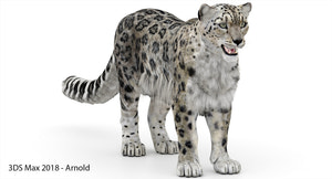 Snow Leopard 3D Model Polygonal Hairs Thumbnail
