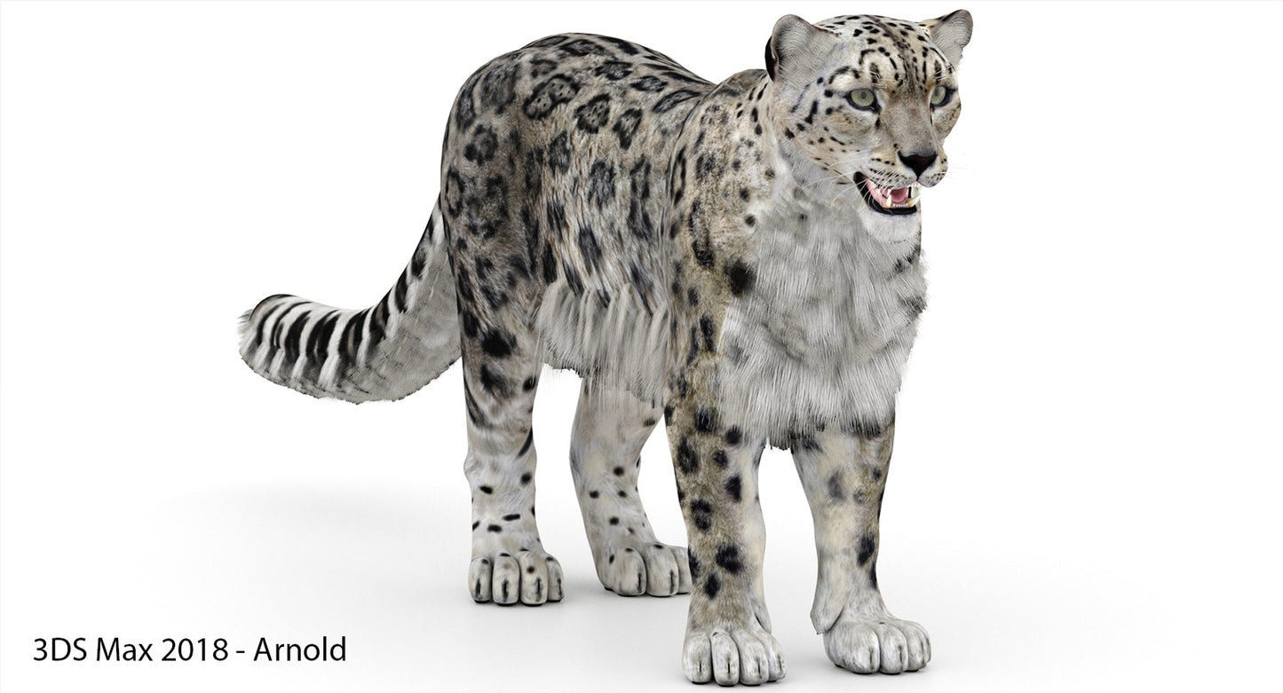 Snow Leopard 3D Model Polygonal Hairs