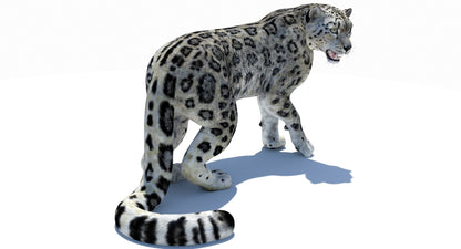 Snow Leopard 3D Model Rigged