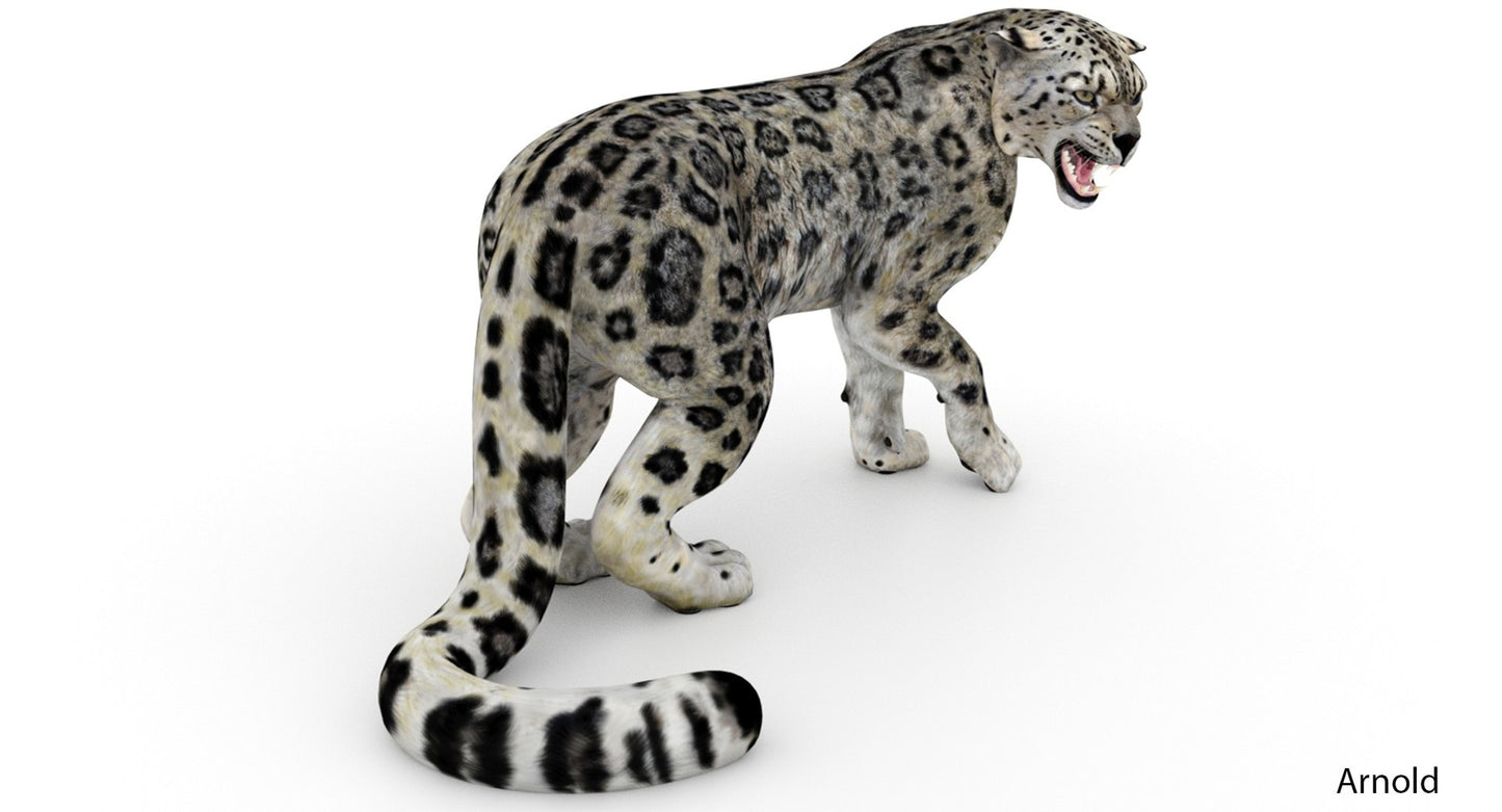 Snow Leopard 3D Model Rigged