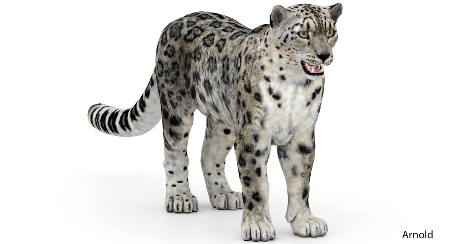 Realistic Snow Leopard 3D Model