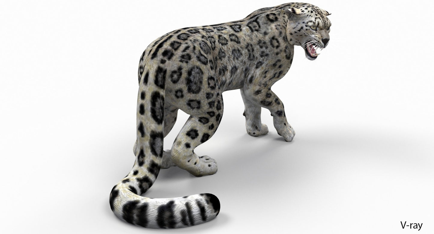 Snow Leopard 3D Model Rigged