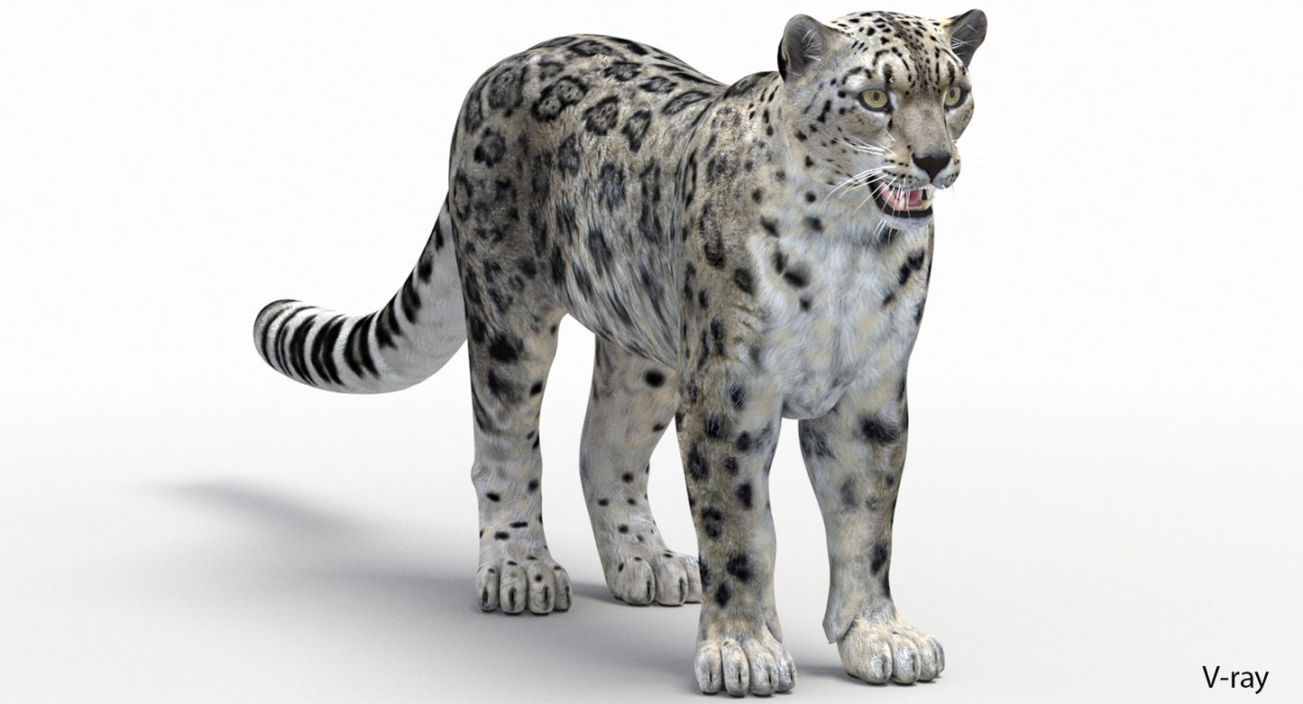 Realistic Snow Leopard 3D Model