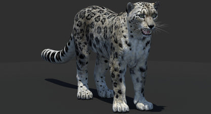 Realistic Snow Leopard 3D Model