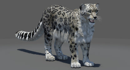 Snow Leopard 3D Model Polygonal Hairs