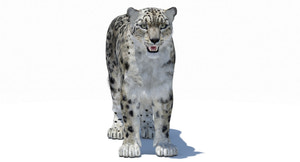 Snow Leopard 3D Model Polygonal Hairs Thumbnail