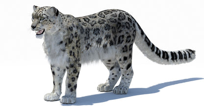 Snow Leopard 3D Model Polygonal Hairs