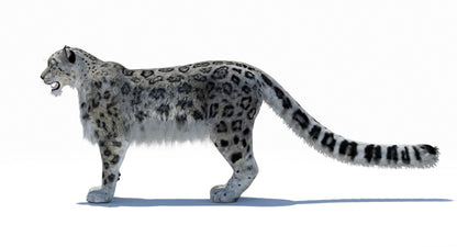 Snow Leopard 3D Model Polygonal Hairs