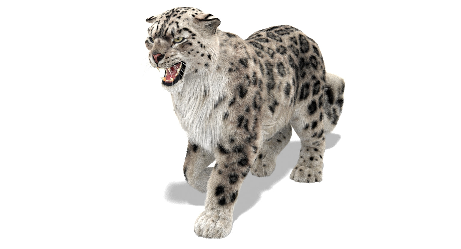 Animated Snow Leopard 3D Model with Ornatrix Fur - Walking and roaring