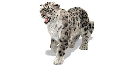 Snow Leopard 3d Model Animated Fur Ornatrix