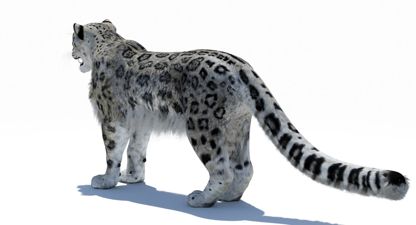 Snow Leopard 3D Model Polygonal Hairs