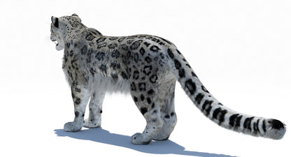 Snow Leopard 3D Model Polygonal Hairs