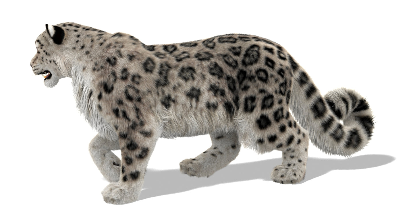 Snow Leopard 3d Model Animated Fur Ornatrix