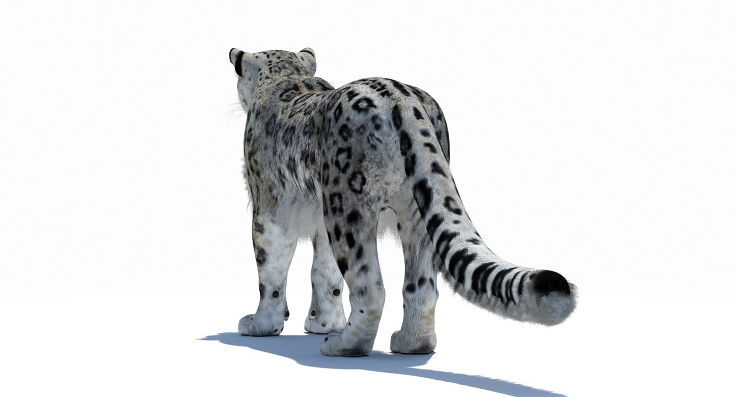 Snow Leopard 3D Model Polygonal Hairs
