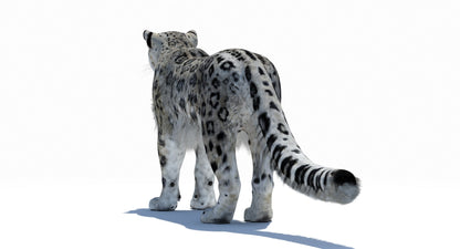 Snow Leopard 3D Model Polygonal Hairs
