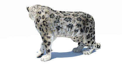 Snow Leopard 3D Model Rigged