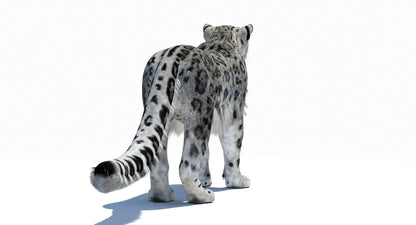Snow Leopard 3D Model Polygonal Hairs