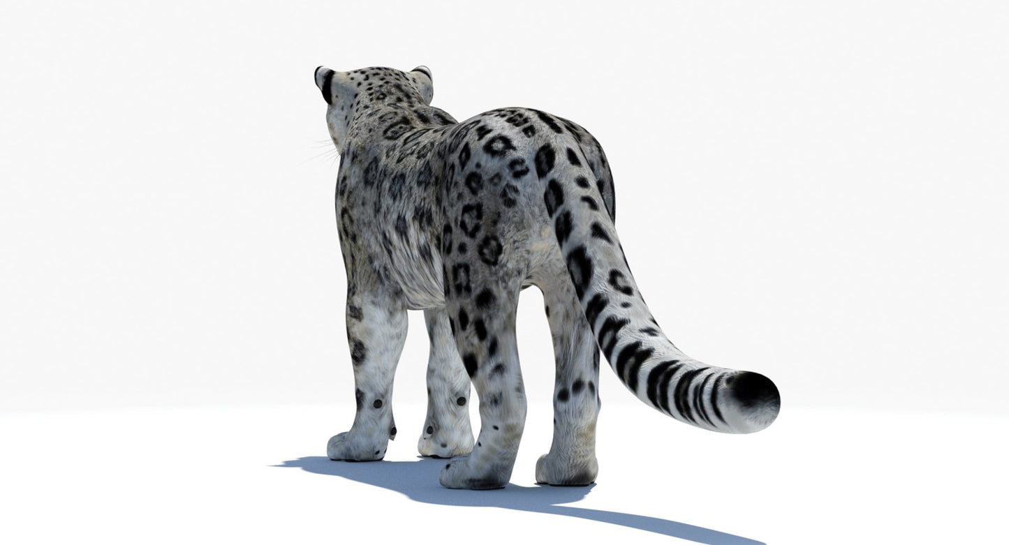 Realistic Snow Leopard 3D Model