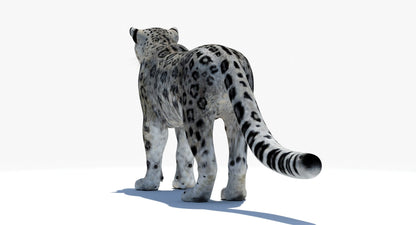 Realistic Snow Leopard 3D Model