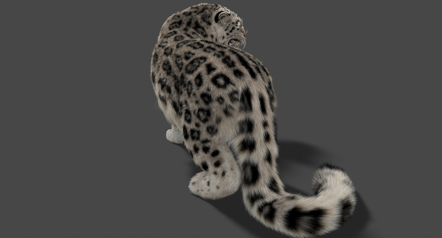 Snow Leopard 3d Model Animated Fur Ornatrix