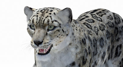 Snow Leopard 3D Model Polygonal Hairs