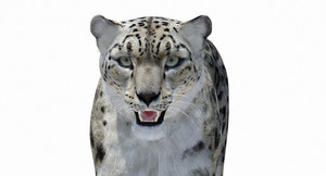 Snow Leopard 3D Model Polygonal Hairs Thumbnail