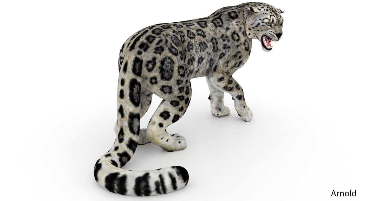 Rigged Snow Leopard 3D Model - Arnold 3ds Max