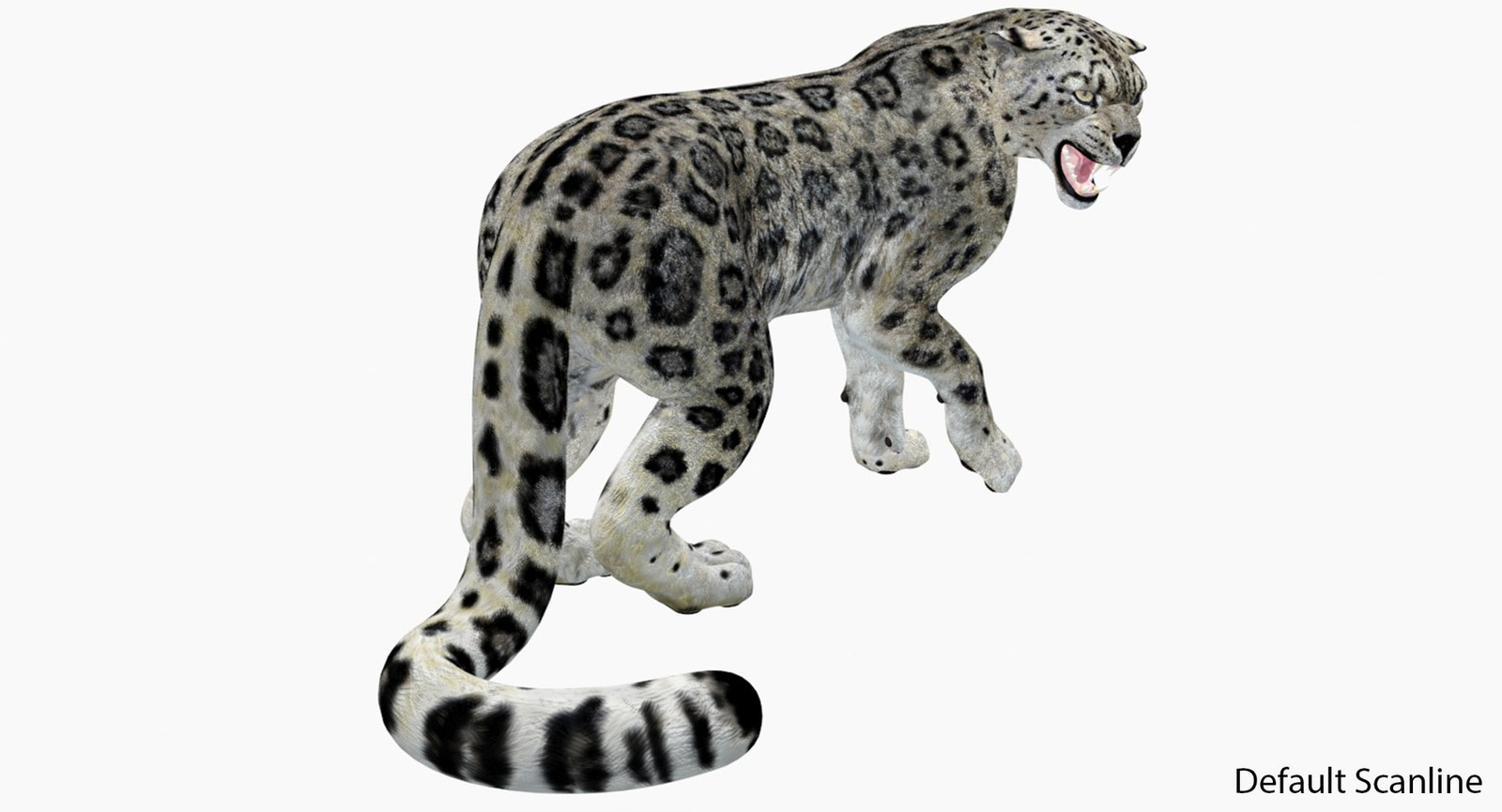 Rigged Snow Leopard 3D Model Default Scanline Renderer