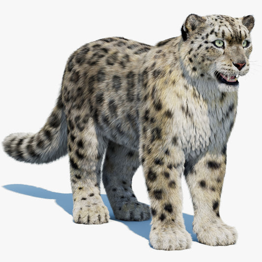 Realistic Snow Leopard 3D Model with Fur