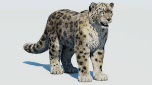 Realistic Snow Leopard 3D Model with Fur Thumbnail