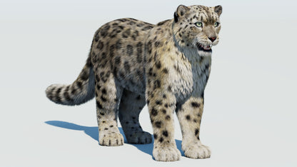 Realistic Snow Leopard 3D Model with Fur
