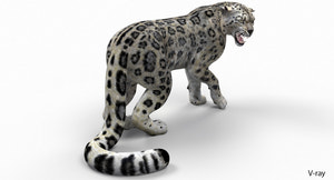 Snow Leopard 3D Model Rendered with V-Ray Renderer 3ds Max Rigged with CAT Motion Thumbnail