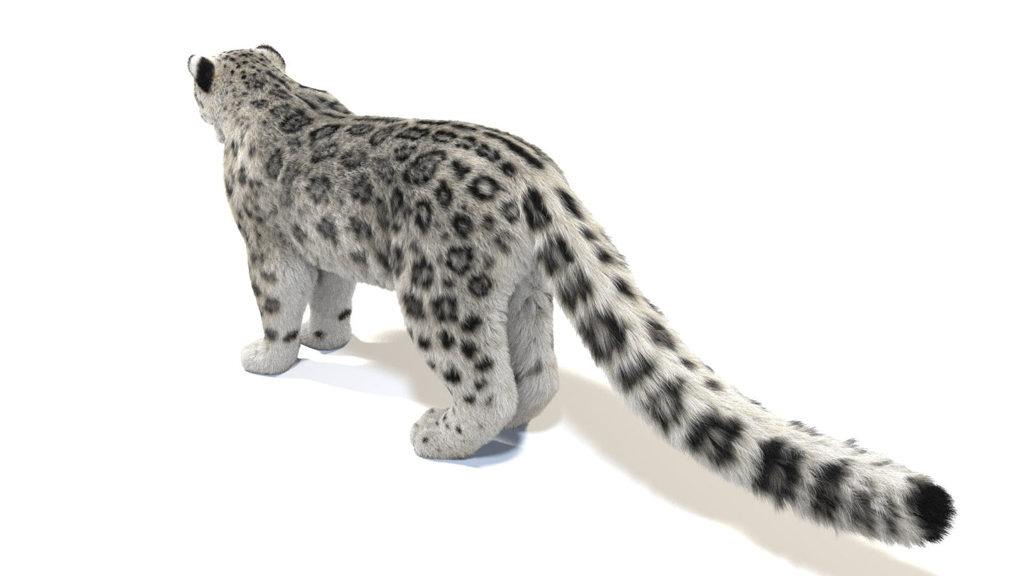 Realistic Snow Leopard 3D Model with Fur